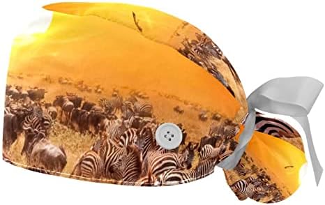 Gün batımı Zebralar Ayarlanabilir çalışma kapağı At Kuyruğu Tutucu ile, 2 Paket Fırçalama Kap Kabarık Şapka Erkekler