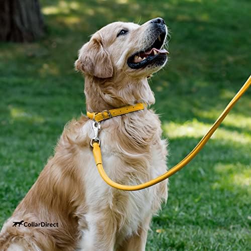 Haddelenmiş Deri Köpek Tasması ve Tasma - XL Beden 6ft Köpek Erkek, Kız veya Köpek Yavrusu için Paket-16-18 inç Boyun