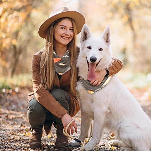 2 Paket Köpek Bandana Merhaba Sonbahar Sevimli Elle Çizilmiş Mashroom ve Düşen Yapraklar Baskı Pet Eşarp Ayarlanabilir