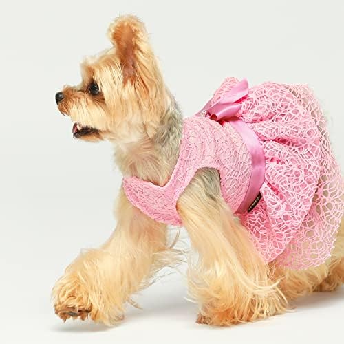 Fitwarm Fantezi Köpek Tül Elbise, Küçük Köpekler için Köpek Giysileri Kız, Hafif Örgü Yaz Pet Kıyafet, Kedi Giyim,