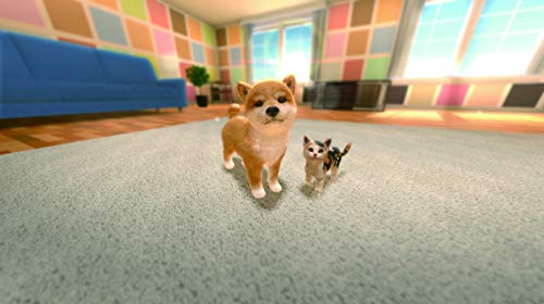 Küçük Arkadaşlar: Köpekler ve Kediler - Nintendo Switch