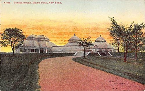 Bronx Parkı, New York Kartpostalı