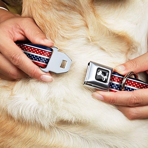 Köpek tasması Emniyet Kemeri Toka Americana Şerit Mini Yıldız Mavi Kırmızı Beyaz 11 ila 17 İnç 1.0 İnç Genişliğinde